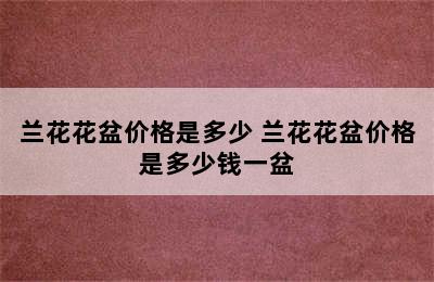 兰花花盆价格是多少 兰花花盆价格是多少钱一盆